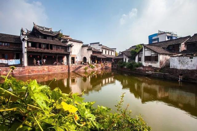山东男篮主场不敌深圳，丁伟：没啥可说的好好准备下场比赛